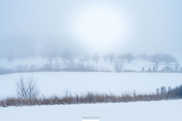 2018-01-09 Arboretum Fog 025s.jpg